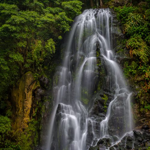 Parque Natural da Ribeira dos Caldeirões, S. Miguel, Açores