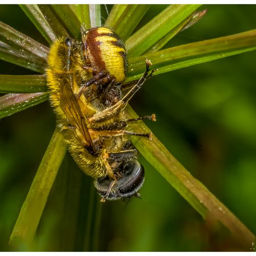 _DSC8316-Editar-Editar-Edit-Edit-2