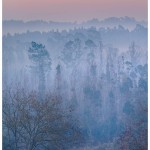 Amanhecer
|Vista da EN 235
|janeiro 2020