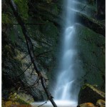 Cabreia
|Cabreia/Silva Escura
|maio 2020