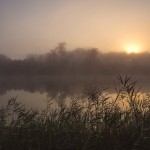 |2020 ©Hélder Bernardo
|www.helderbernardo.com