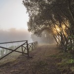 |2020 ©Hélder Bernardo
|www.helderbernardo.com