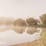 |2020 ©Hélder Bernardo
|www.helderbernardo.com