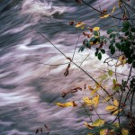 movimento
|Rio Águeda - Requeixo