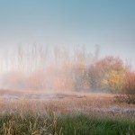 "Amanhecer com névoa"