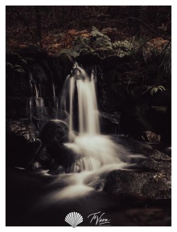 Waterfall | Ribeira de Carrazedo