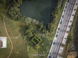 O SEU A SEU DONO O SEU A SEU DONO