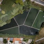 PUZZLE P’RA PATOS PUZZLE P’RA PATOS