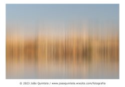 Pateira de Fermentelos Pateira de Fermentelos